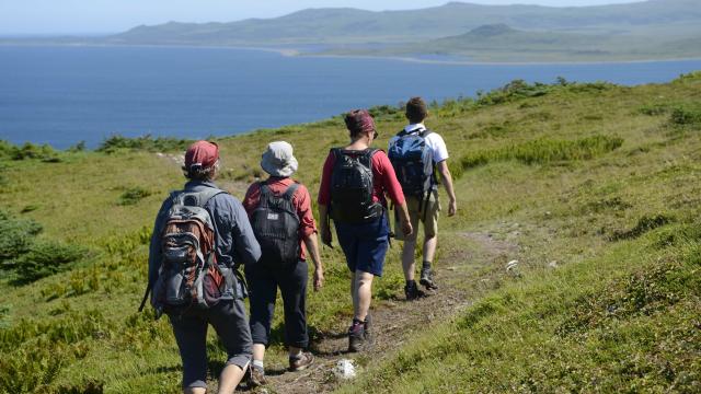 Eco Balade dans le Cap de Miquelon proposé par la Maison de la Nature et de l'Environnement, avec le guide MNE, le 31 juillet 2016