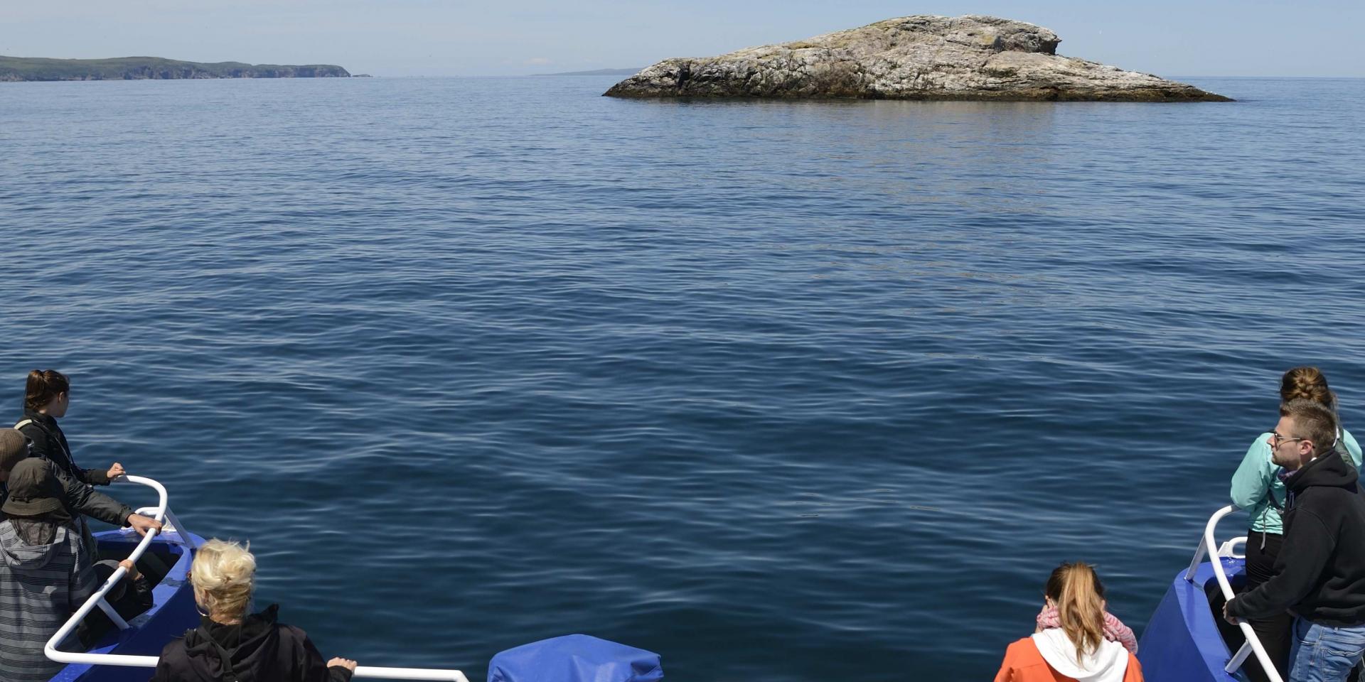 Excursion en mer, à bord du bateau Jeune France, proposée par la Régie des Transports Maritimes, tour à proximité du Grand Colombier et du Cap Perçé à Langlade, le 13 juillet 2016