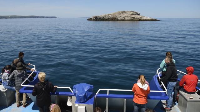 Excursion en mer, à bord du bateau Jeune France, proposée par la Régie des Transports Maritimes, tour à proximité du Grand Colombier et du Cap Perçé à Langlade, le 13 juillet 2016