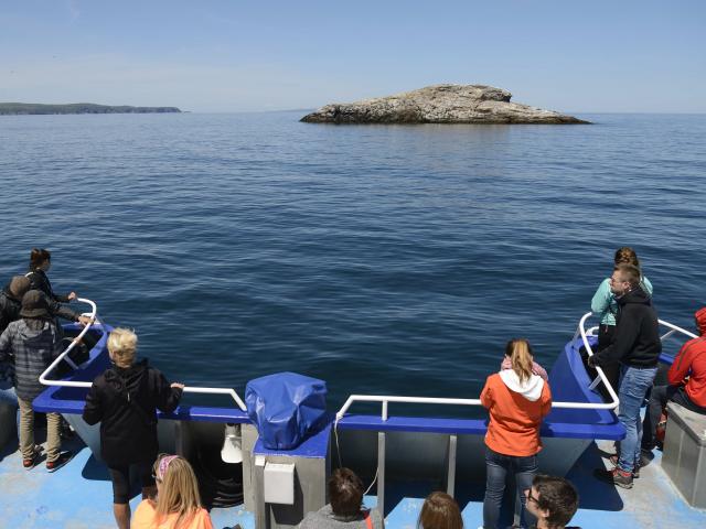Excursion en mer, à bord du bateau Jeune France, proposée par la Régie des Transports Maritimes, tour à proximité du Grand Colombier et du Cap Perçé à Langlade, le 13 juillet 2016