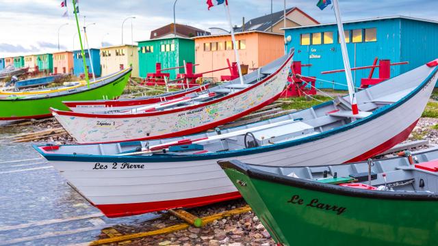 Les Zigotos 1