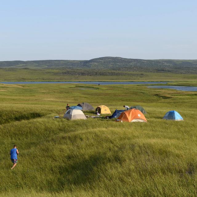Installation de campeurs pour le festival de musique Dunefest, Ile de Miquelon, reportage photographique sur l'archipel de Saint Pierre et Miquelon, collectivité française d'Outre Mer d'Amérique du Nord, le 26 juillet 2014