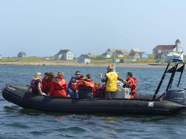 Tour Découverte du milieu marin