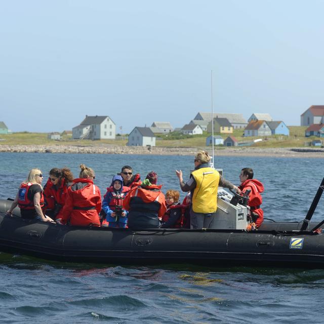 Tour Découverte du milieu marin