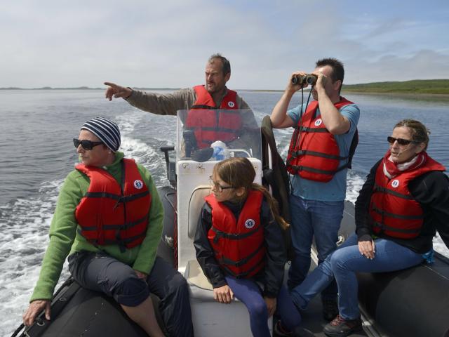 Tour Grand Barachois, découverte du milieu naturel et rencontre avec les phoques en zodiac avec Joel Lucas, Isthme de Miquelon, le 28 juillet 2016