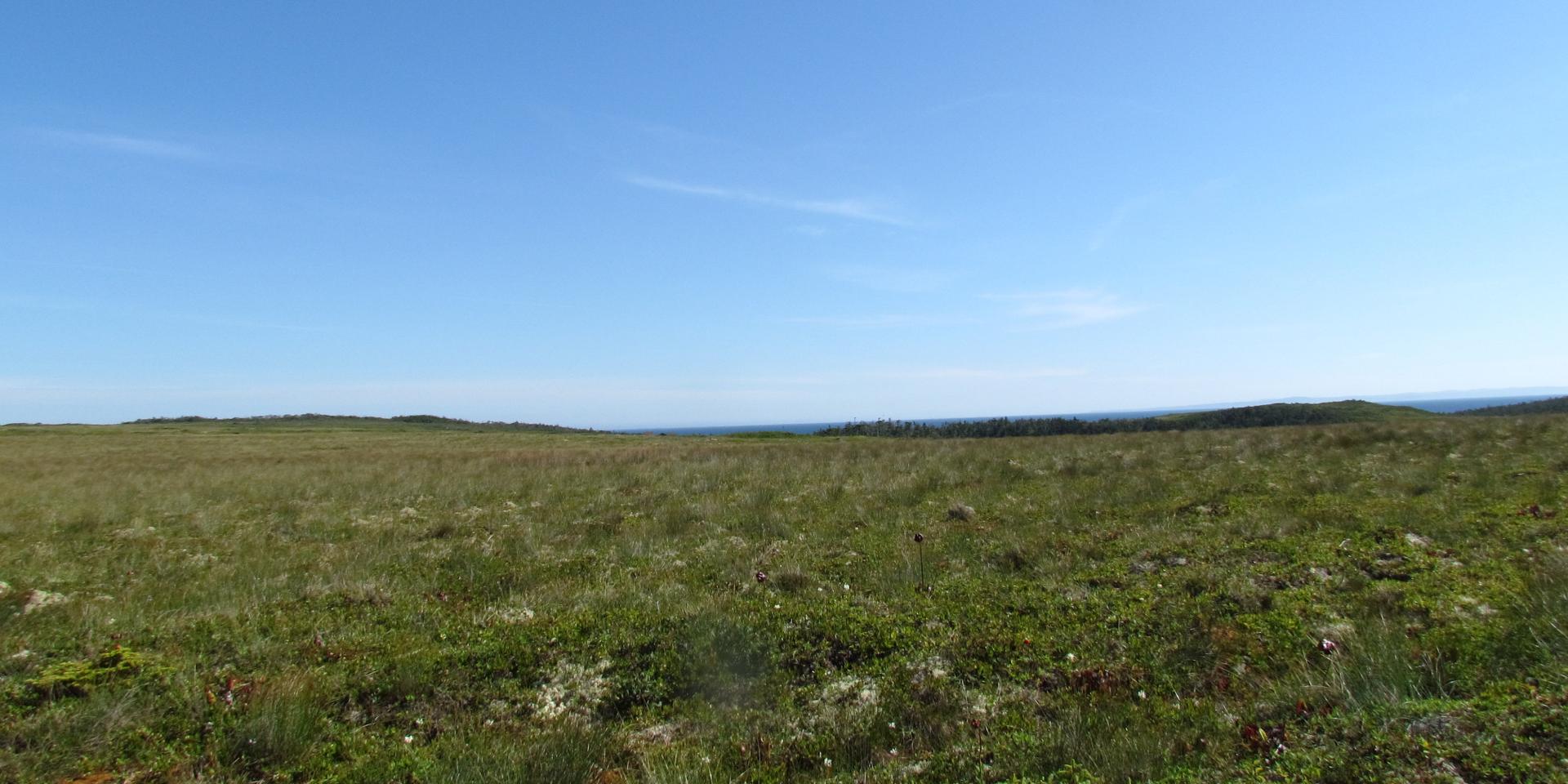 Cap corbeau 7