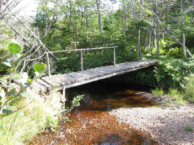 Belliveau 1