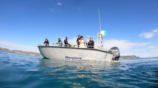 Club Nautique St Pierrais