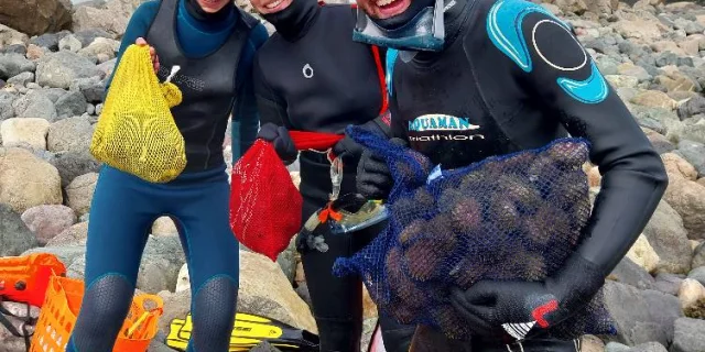 Nemo 3