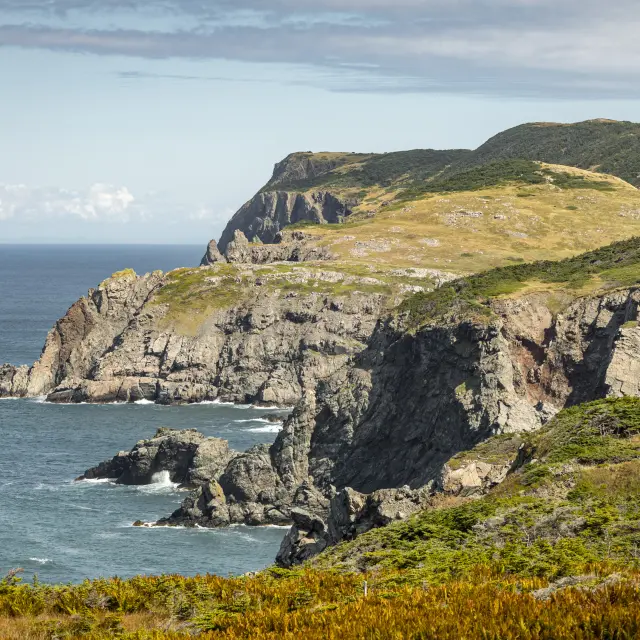 Mathieu Dupuis, Saint-Pierre et Miquelon 2021