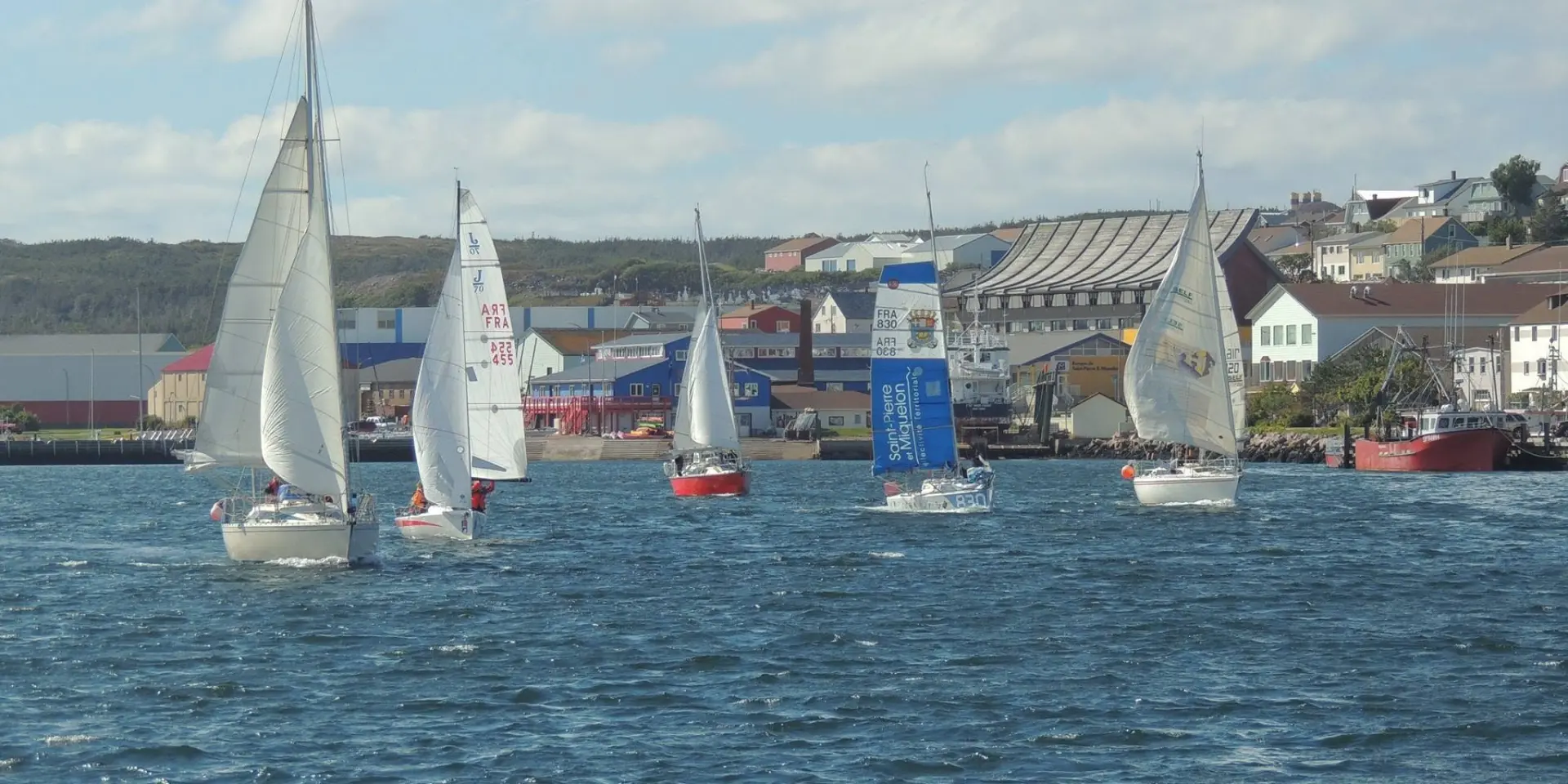 Voiliers naviguant dans le port de Saint-Pierre, devant les bâtiments du front de mer